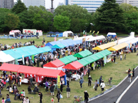 楽市2013